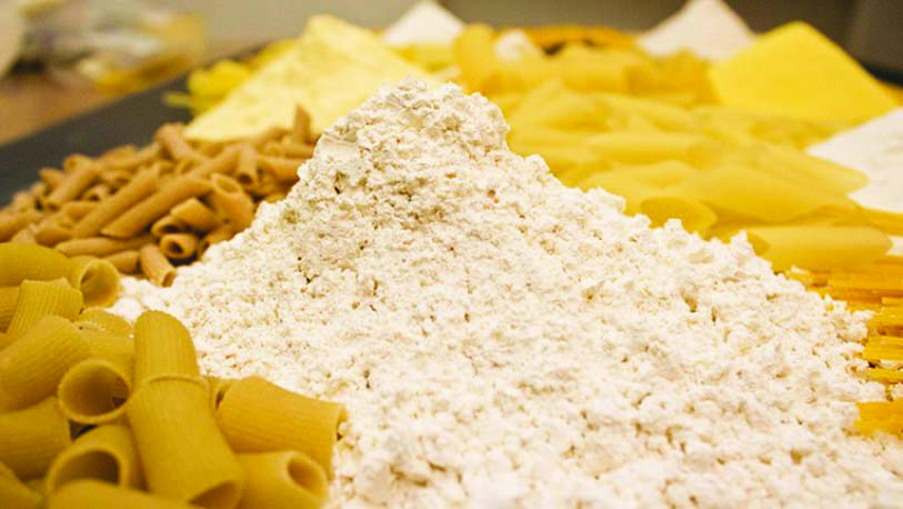 Pasta Flour Wholesale Manufacturer & Supplier